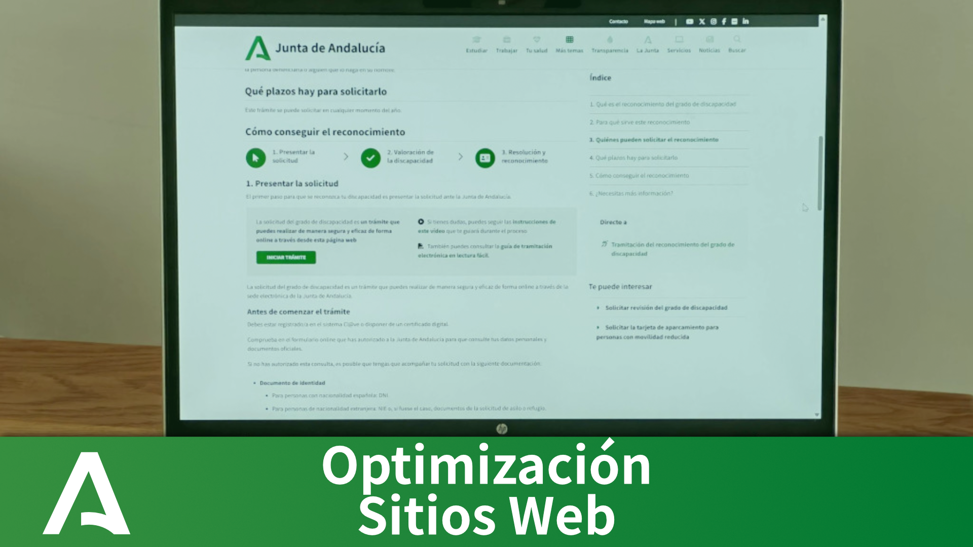 Optimización de Contenidos para Sitios Web Públicos