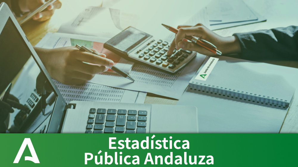 Competencias básicas ante la Estadística Pública Andaluza