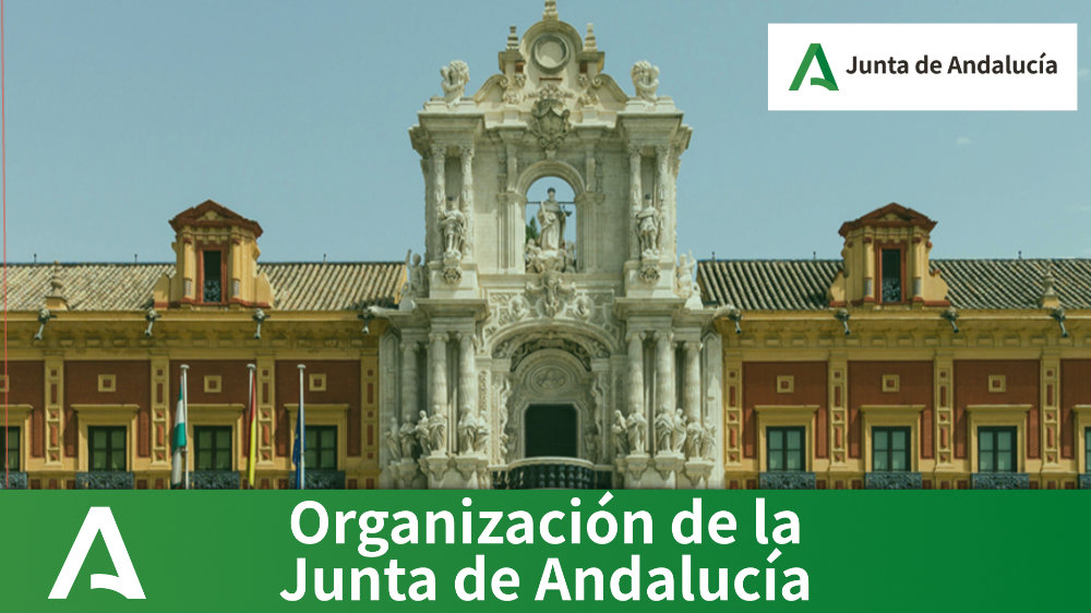 Organización de la Junta de Andalucía