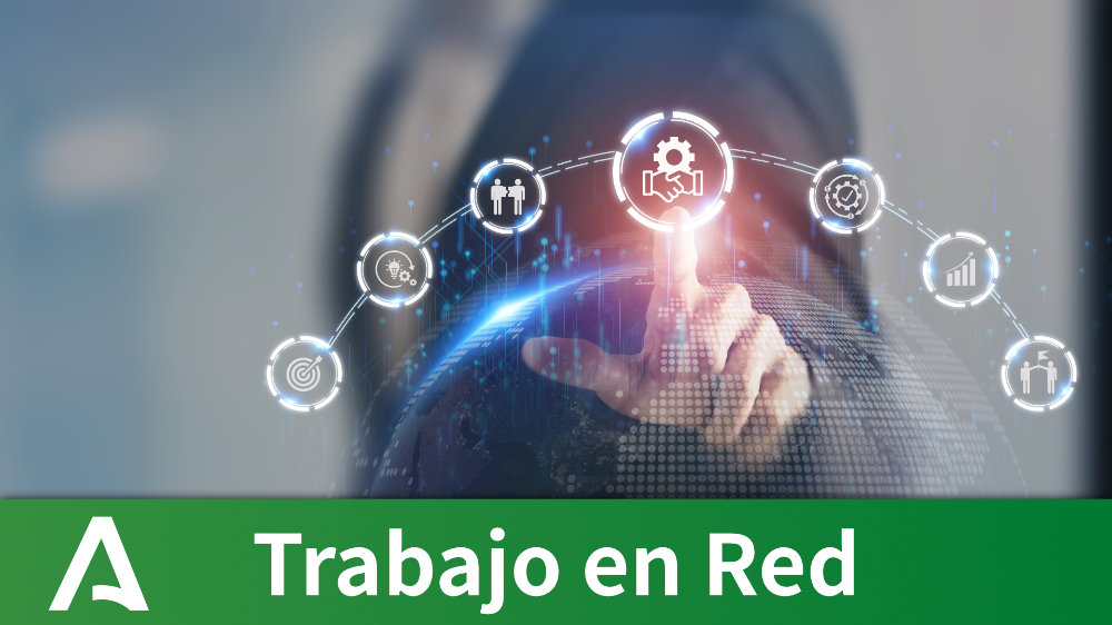 Trabajo en Red
