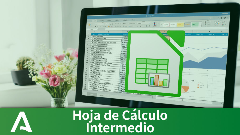 Hoja de Cálculo. Nivel Intermedio  PRÓXIMAMENTE