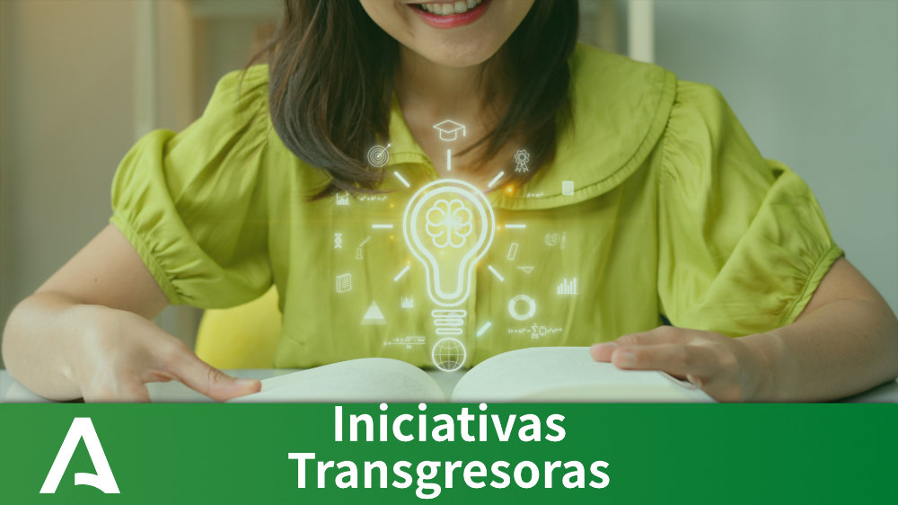 Participar en iniciativas transgresoras.