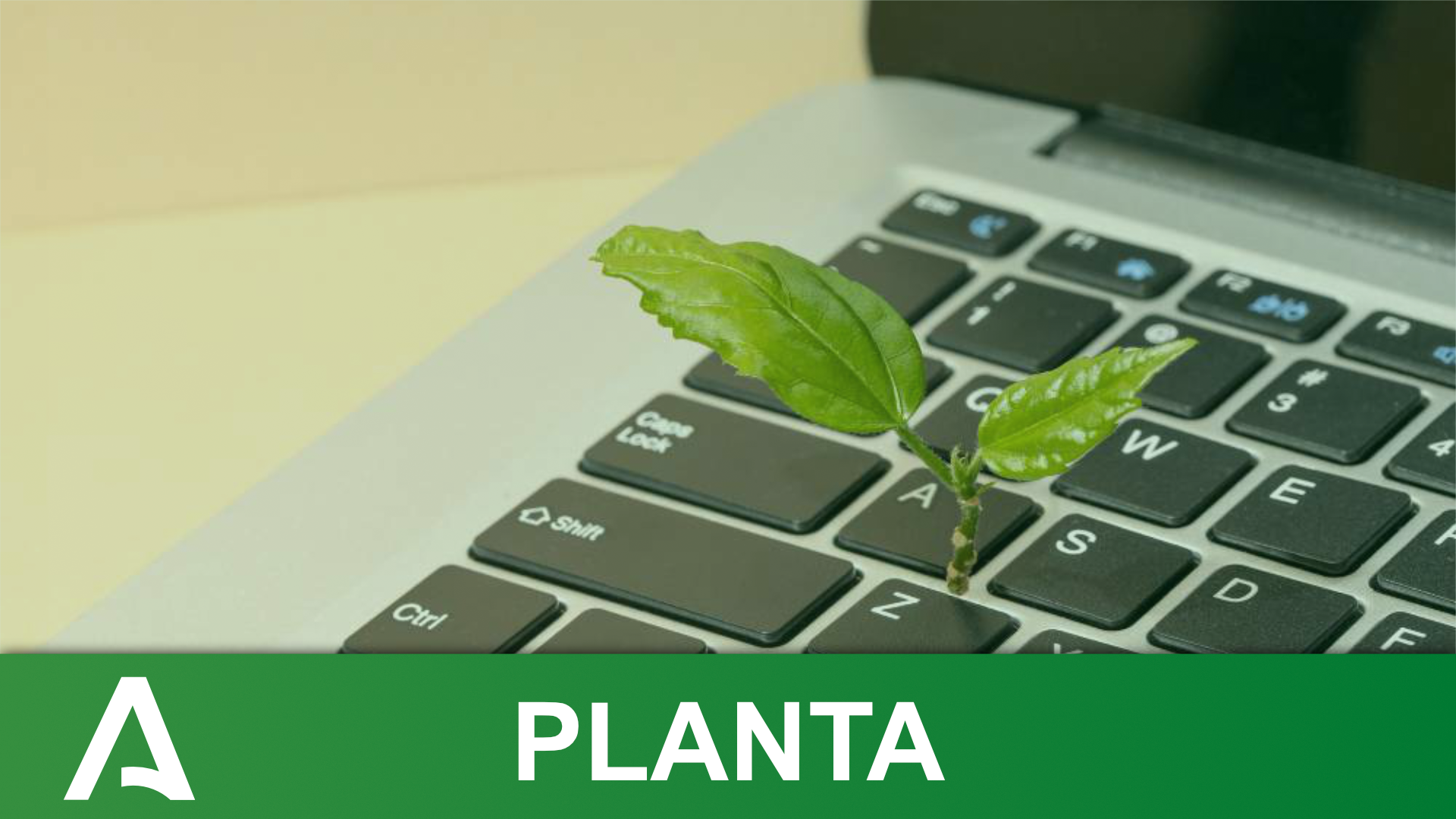 Gestión Básica de Tareas con PLANTA