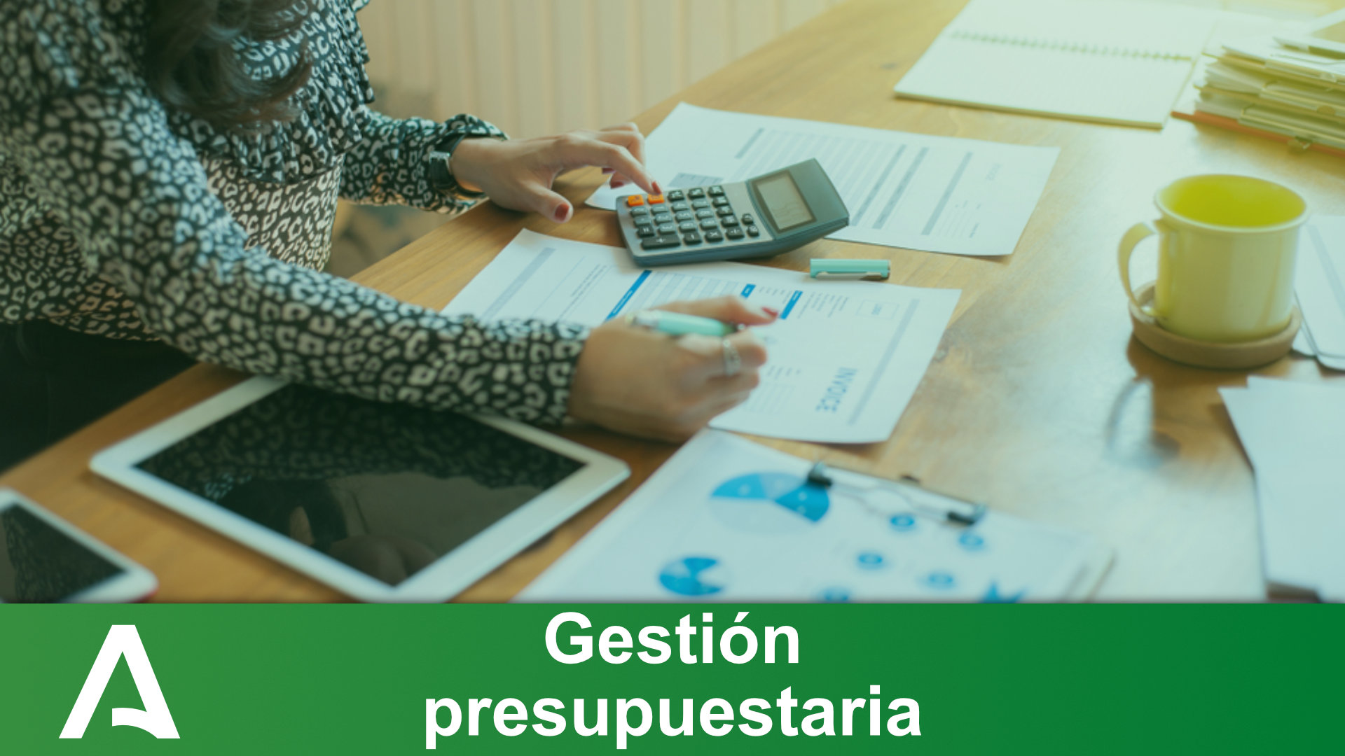 Conceptos Básicos de Gestión Presupuestaria