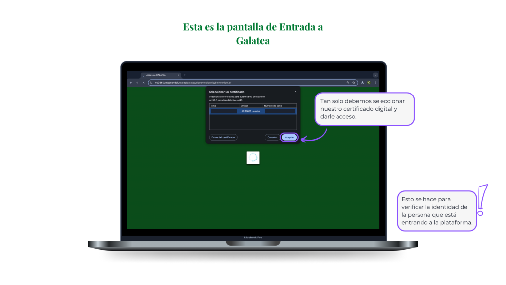 entrada 2