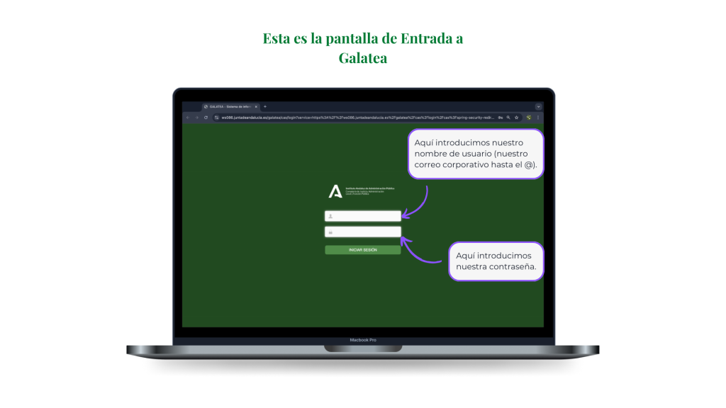 entrada1