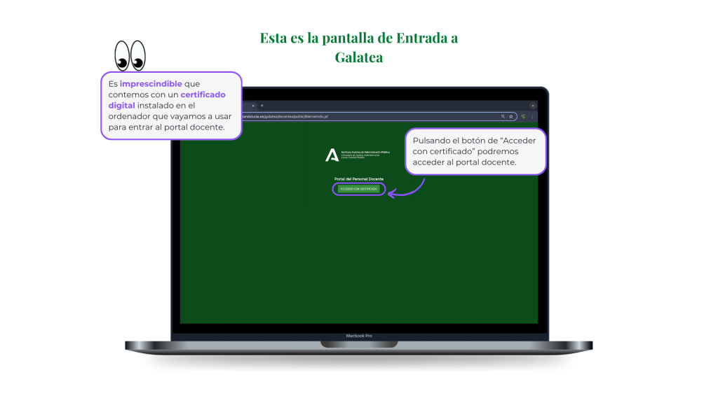 entrada1
