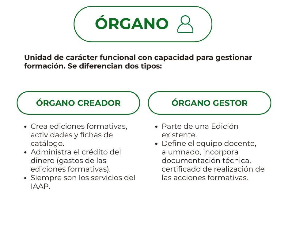 órgano