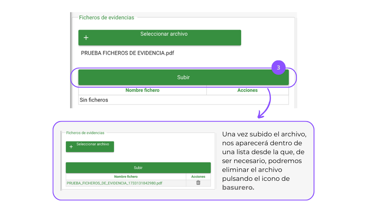 ficheros de evidencia paso 3