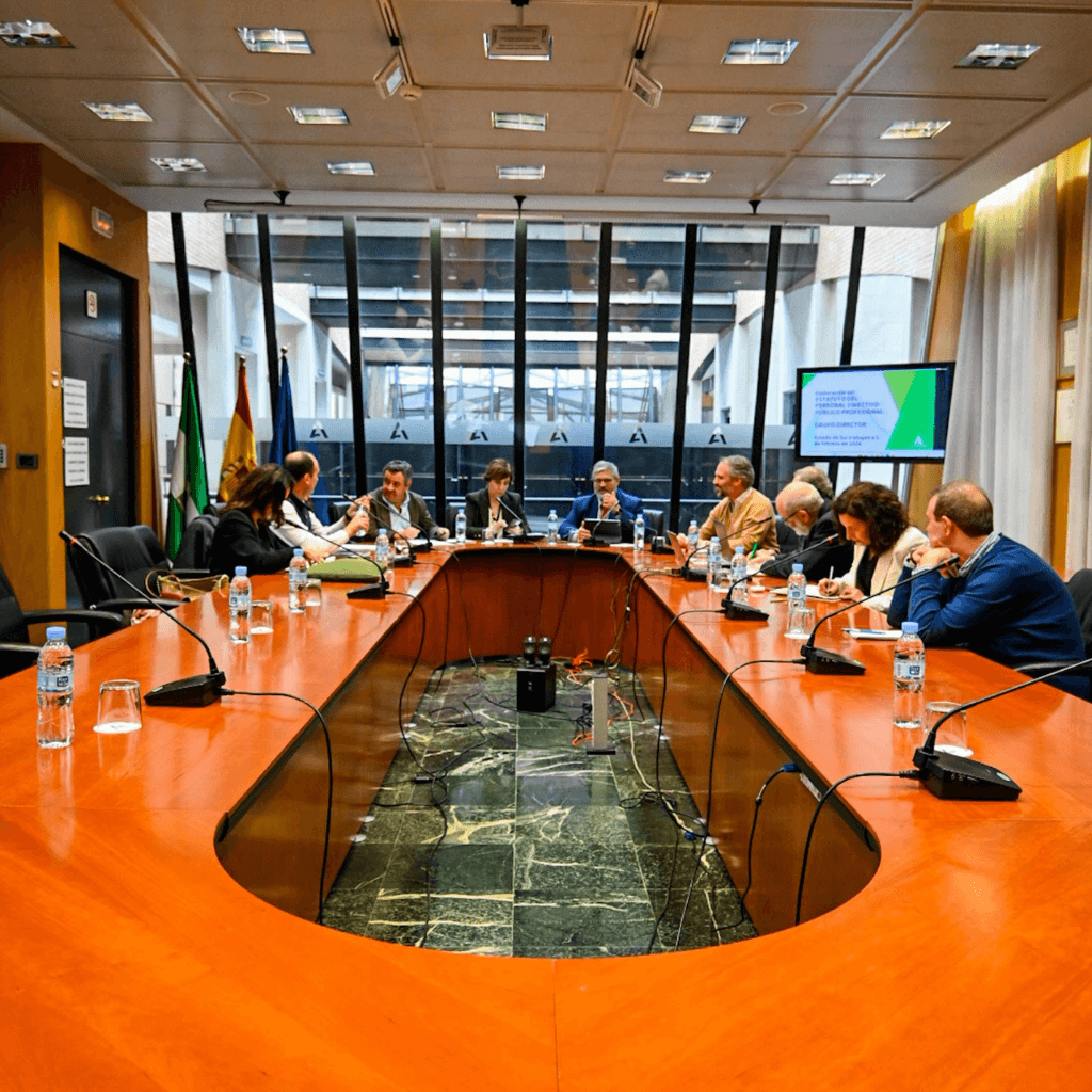Reunión del grupo director para el desarrollo del Estatuto del personal directivo público