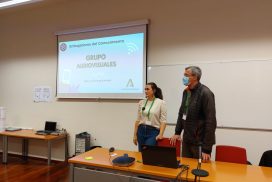 Proyecto Implantando la cultura audiovisual en la Junta de Andalucía.